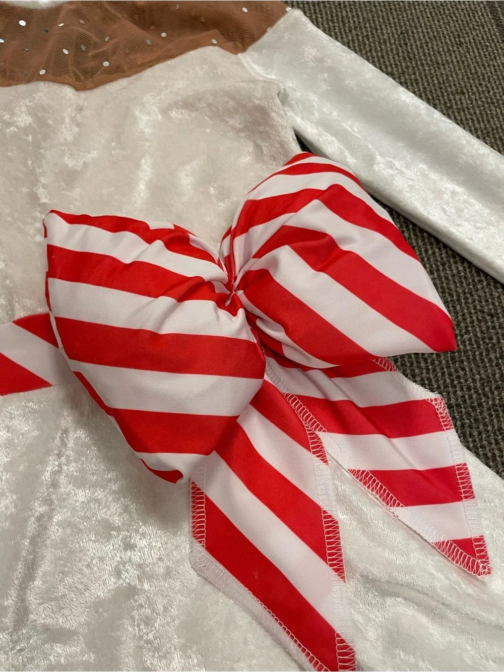 Holiday Velvet Dance costume